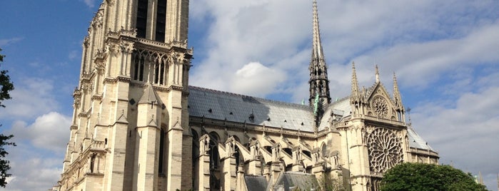 Catedral de Notre-Dame de Paris is one of Lugares donde estuve en el exterior.