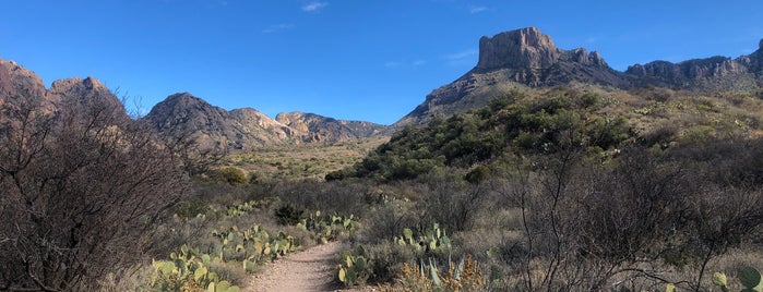 Chisos Mountains Basin is one of Orte, die Fernando gefallen.