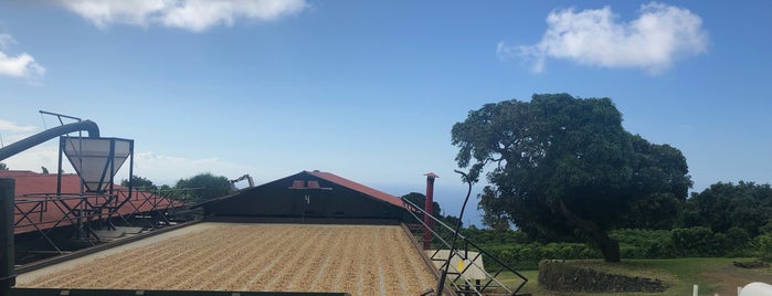 Greenwell Farms Coffee Plantation is one of Hawaii (island).