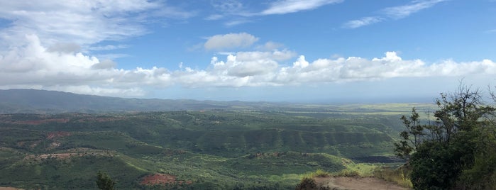 Waimea Canyon Lookout is one of Kauai.