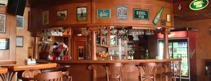 Krigl Pub is one of Lugares favoritos de Sveta.