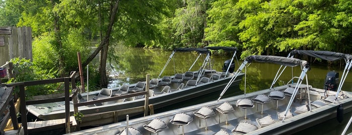 Champagne's Cajun Swamp Tours is one of Louisiane.