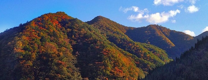 谷川岳PA (上り) is one of Orte, die 高井 gefallen.