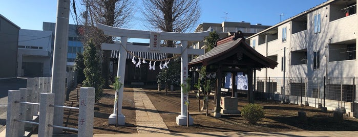 鶴ヶ岡八幡神社 is one of 神社_埼玉.