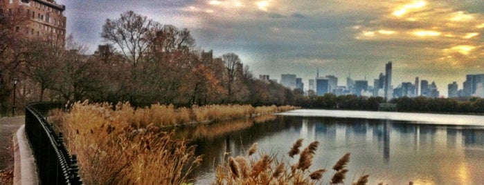 Central Park is one of New York City.