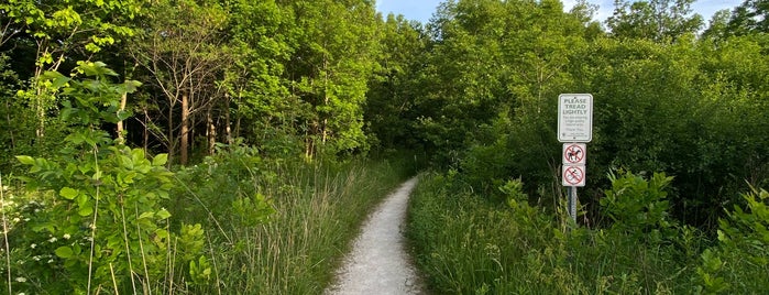 Danada Forest Preserve is one of Chicagoland Trail Running.