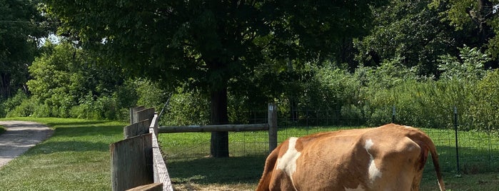 Brunner Family Forest Preserve is one of Schaumburg, IL & the N-NW Suburbs.