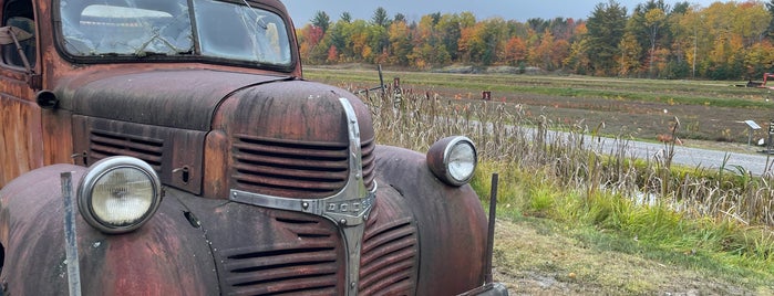 Johnston's Cranberry Marsh is one of Ontario Farms.