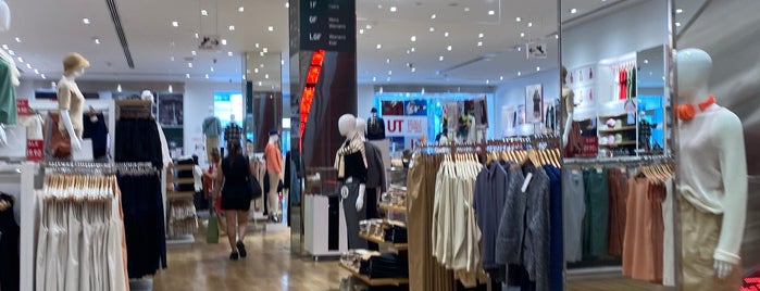Uniqlo is one of BNE.