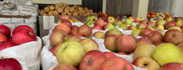 Goldsmiths Orchard Market is one of Blue Mountain.