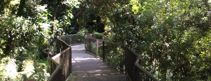 Australian National Botanic Gardens is one of canbrrra.