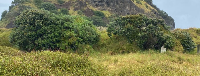 Lion Rock is one of Auckland must-sees.