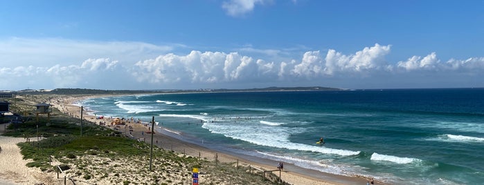 Elouera Beach is one of Surfing spots.