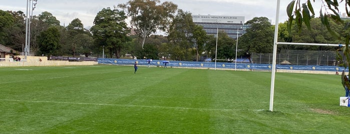 University Oval No.2 is one of University of Sydney.