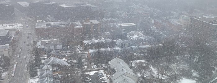 Regent Park is one of Locais curtidos por Sebastián.