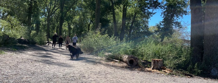 Cherry Beach Off-Leash Dog Area is one of toronto.