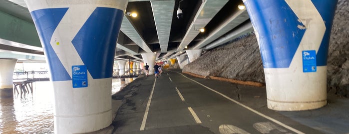 Victoria Bridge is one of Brisbane Landmarks.