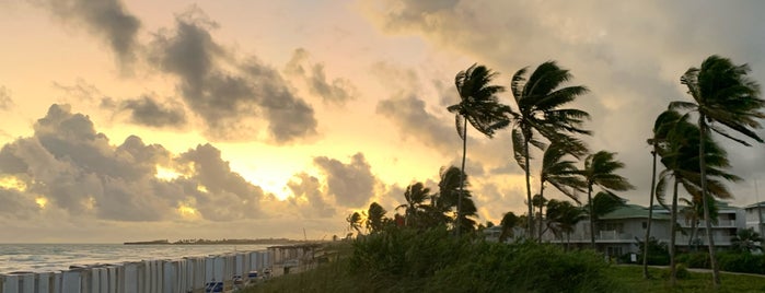 Tryp Cayo Coco is one of Lieux qui ont plu à mary.