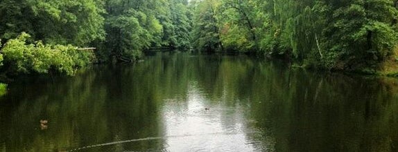 Озеро Горащиха is one of Алексейさんの保存済みスポット.