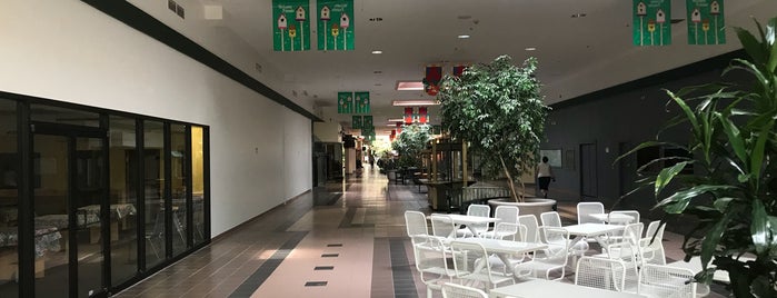 Aroostook Centre Mall is one of Things that look like home.