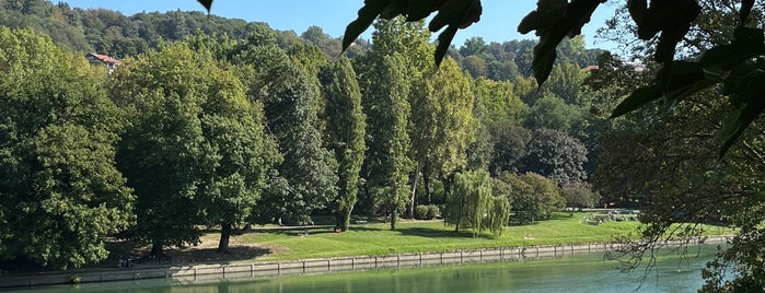 Parco del Valentino is one of สถานที่ที่ Vlad ถูกใจ.