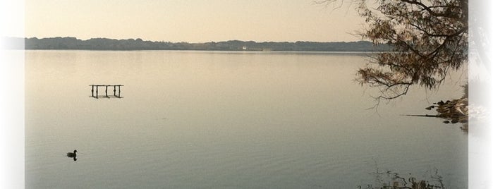 Lago Di Fogliano is one of San Felice Circeo.