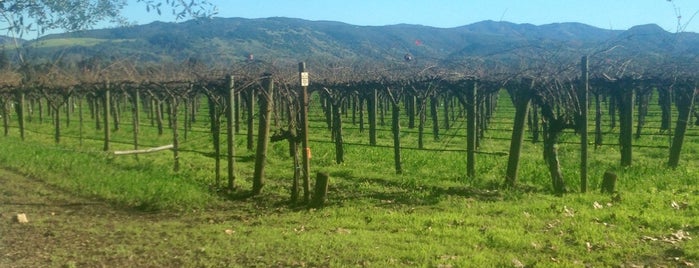 Elizabeth Spencer Winery is one of Napa/Sonoma Favorites.