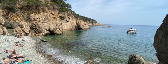 Cala Pedrosa is one of Others.