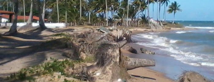 Ilha de Itaparica is one of DANIEL.