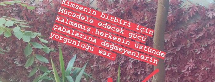 Merkez Efendi Lokantasi is one of Salihli Gezi Programı.
