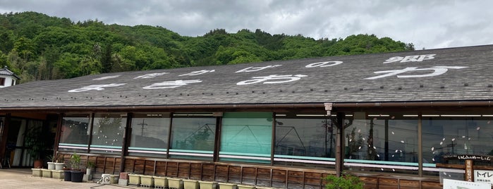 道の駅 花かげの郷まきおか is one of 道の駅 中部.