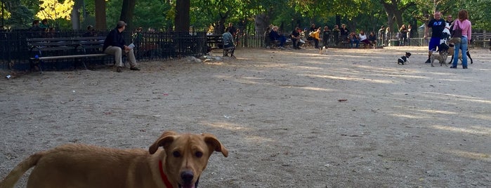 Tompkins Square Park Dog Run is one of My Good Dog NYC: NYC Dog Runs.