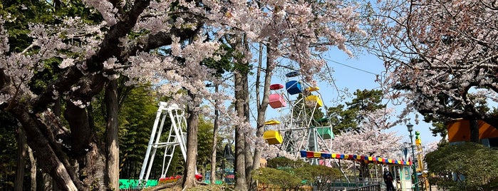 函館公園 is one of 道南.