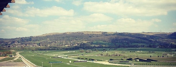 Cheltenham Racecourse is one of Lugares favoritos de Carl.