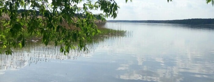 jezioro Sajno is one of Augustów.