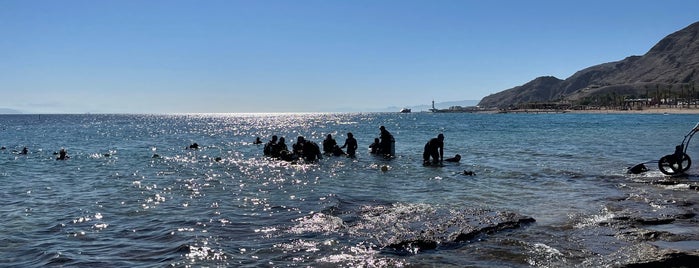 Lucky Diving is one of Eilat.