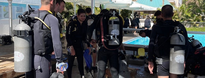 Manta Diving Club is one of Eilat.