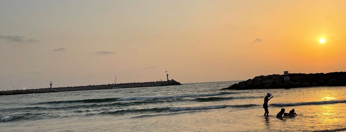 Accadia Beach is one of Lieux sauvegardés par Ivan.