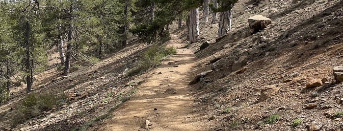 Artemis Hiking Trail is one of Tempat yang Disukai Dmitriy.