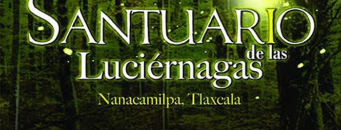 Santuario de las Luciérnagas is one of México Lindo y Querido!.