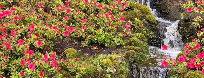 zocher garden is one of Lieux qui ont plu à Oksana.