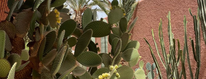 Love YSL Gallery is one of Marrakesh.