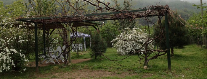 Cevizli Bahçe is one of สถานที่ที่ Mekan ถูกใจ.