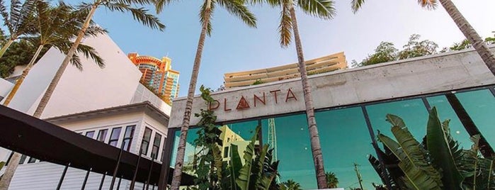 Planta is one of The Miami Musts.