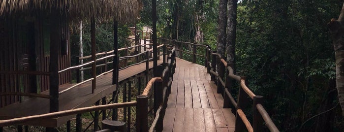 Tariri Amazon Lodge is one of สถานที่ที่ Marcelo ถูกใจ.