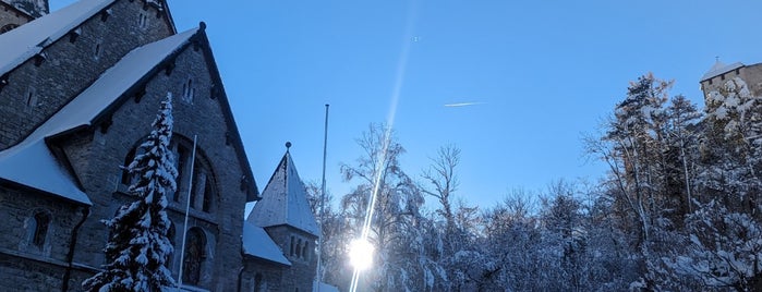 Burg Gutenberg is one of Switzerland, Austria & Liechtenstein.