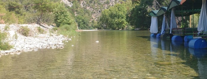 Alara Cennet Piknik is one of Orte, die Yılmaz gefallen.