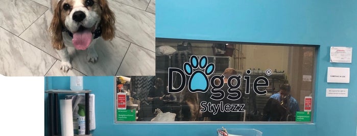 Doggie Stylezz is one of Moving to: Bay Area (Santa Clara).