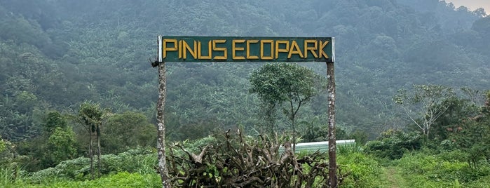 Puncak Paralayang is one of Wisata Bogor.