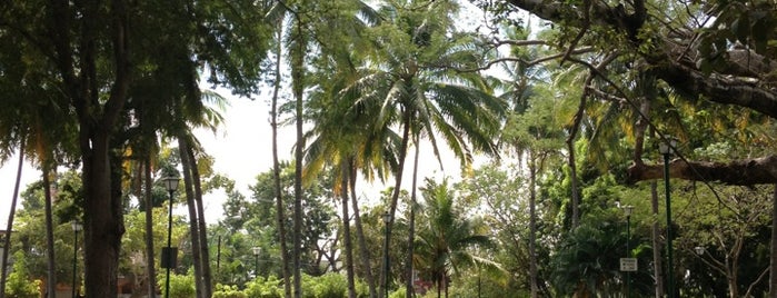 Parque Hidalgo is one of Lieux qui ont plu à Bibishi.